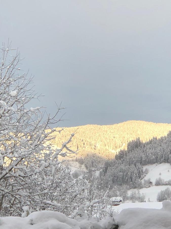 Haus Annabelle Hotel Wagrain Kültér fotó